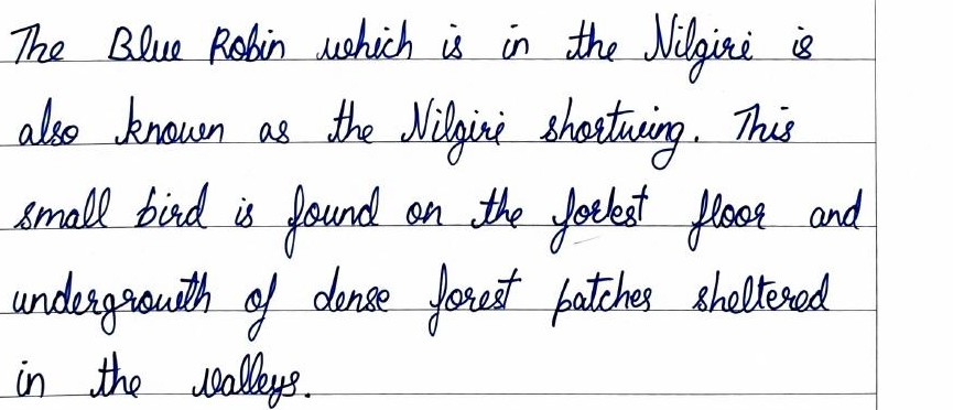 Handwritten field note by Grade 7 — Blue Robin
